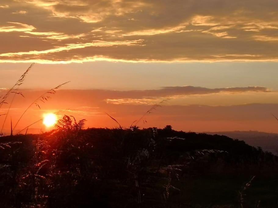 Converted Cattle Barn Overlooking Strangford Lough Newtownards Eksteriør bilde
